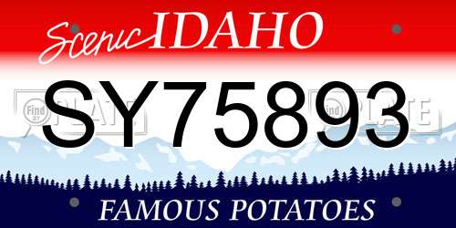 SY75893 Idaho License Plate