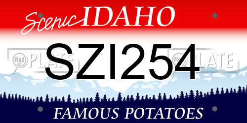 SZI254 Idaho License Plate