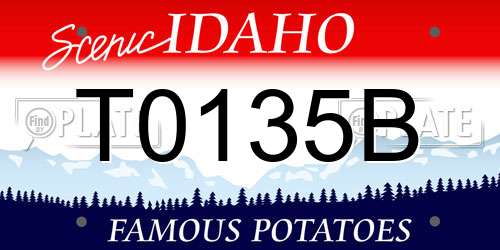 T0135B Idaho License Plate