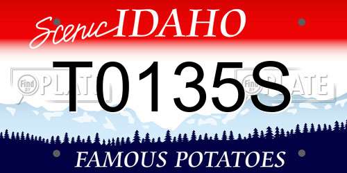 T0135S Idaho License Plate
