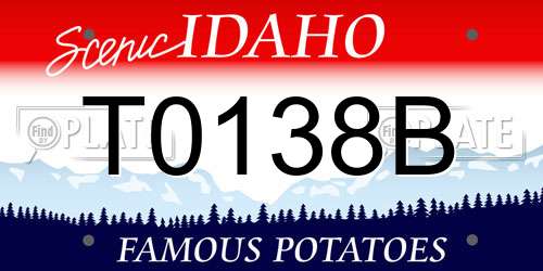 T0138B Idaho License Plate