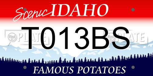 T013BS Idaho License Plate