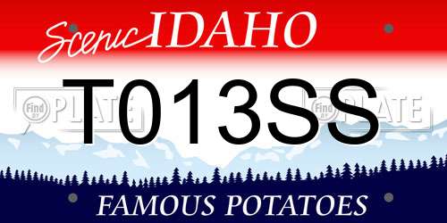 T013SS Idaho License Plate