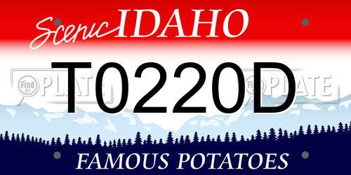T0220D Idaho License Plate