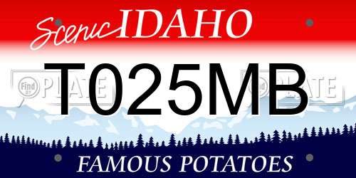 T025MB Idaho License Plate