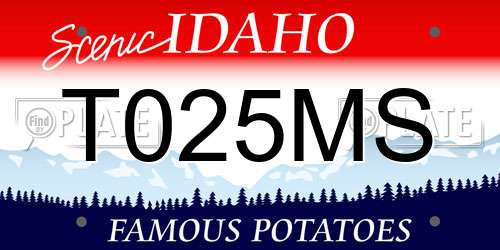 T025MS Idaho License Plate