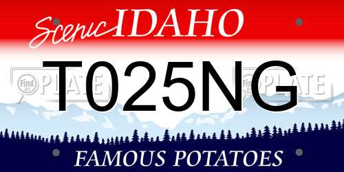 T025NG Idaho License Plate
