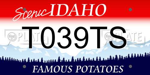 T039TS Idaho License Plate