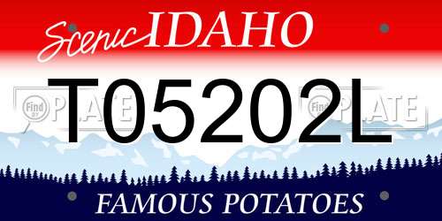 T05202L Idaho License Plate