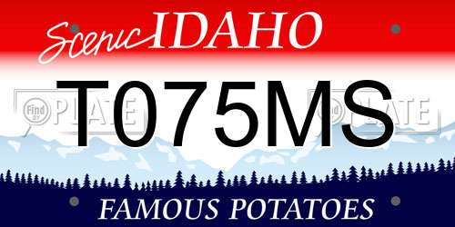 T075MS Idaho License Plate