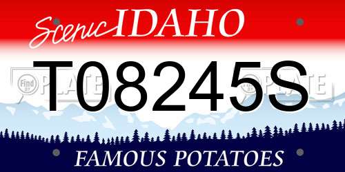 T08245S Idaho License Plate