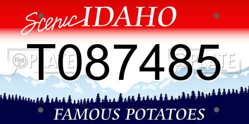T087485 Idaho License Plate