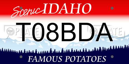 T08BDA Idaho License Plate