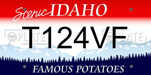 T124VF Idaho License Plate