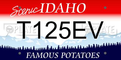 T125EV Idaho License Plate