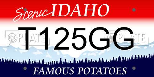 T125GG Idaho License Plate