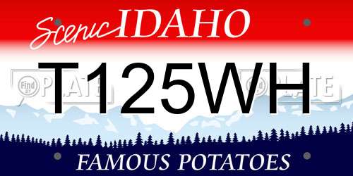 T125WH Idaho License Plate