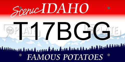 T17BGG Idaho License Plate