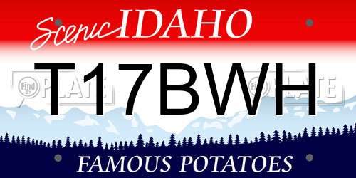 T17BWH Idaho License Plate