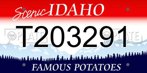 T203291 Idaho License Plate