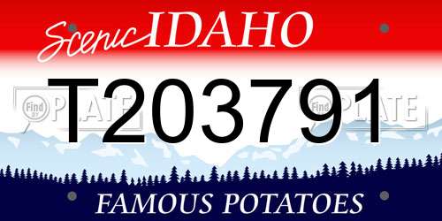 T203791 Idaho License Plate