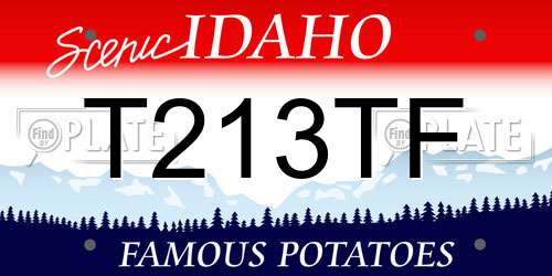T213TF Idaho License Plate