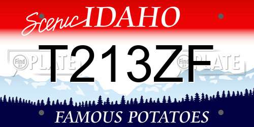 T213ZF Idaho License Plate