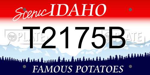 T2175B Idaho License Plate