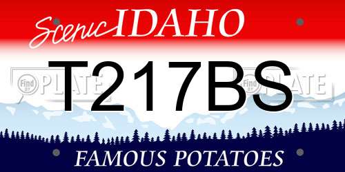 T217BS Idaho License Plate