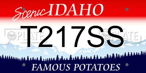 T217SS Idaho License Plate