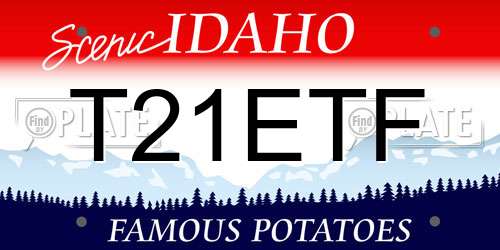 T21ETF Idaho License Plate