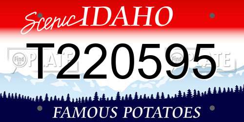 T220595 Idaho License Plate