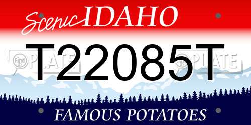 T22085T Idaho License Plate