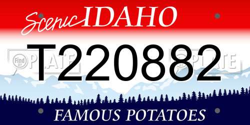 T220882 Idaho License Plate