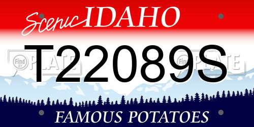 T22089S Idaho License Plate
