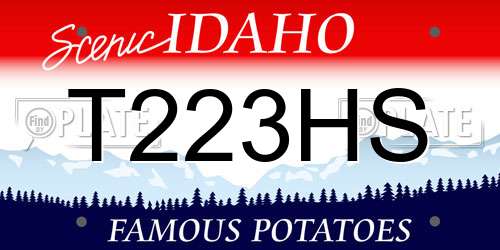 T223HS Idaho License Plate