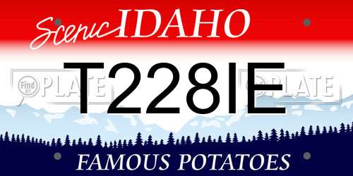 T228IE Idaho License Plate