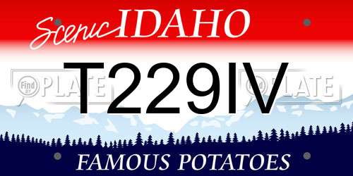 T229IV Idaho License Plate