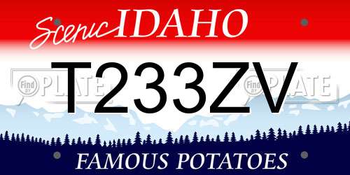 T233ZV Idaho License Plate