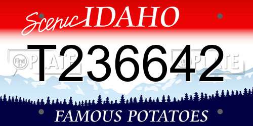 T236642 Idaho License Plate