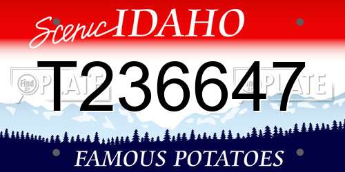 T236647 Idaho License Plate