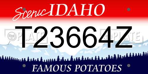 T23664Z Idaho License Plate