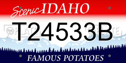 T24533B Idaho License Plate