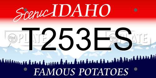 T253ES Idaho License Plate