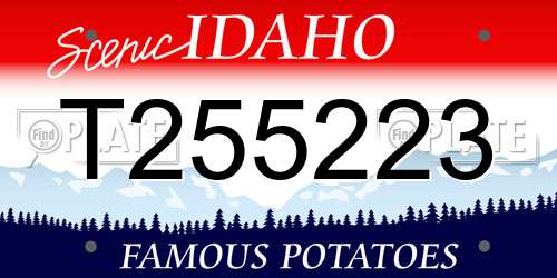 T255223 Idaho License Plate