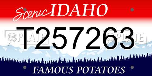 T257263 Idaho License Plate