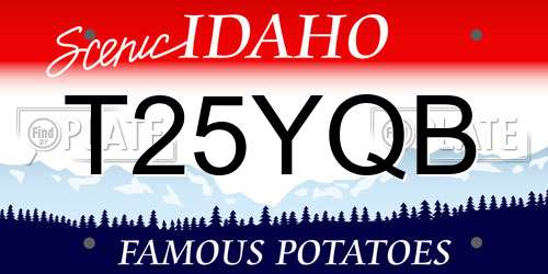 T25YQB Idaho License Plate