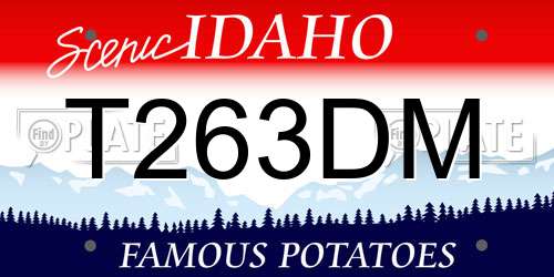 T263DM Idaho License Plate
