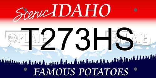 T273HS Idaho License Plate