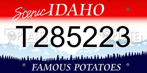 T285223 Idaho License Plate